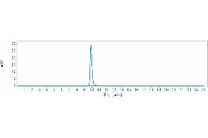 The purity of Anti-Siglec-3 / CD33 Reference Antibody (lintuzumAb) is more than 95 % , determined by SEC-HPLC. (Recombinant GDF8 (Lintuzumab Biosimilar) 抗体)