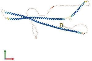 Protein Structure (PS) image for Keratin 24 (KRT24) (AA 1-525) protein (His tag) (ABIN7548616)