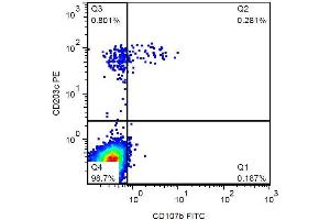 Surface staining of IgE-stimulated human peripheral blood with anti-CD107b (H4B4) FITC. (LAMP2 抗体  (FITC))