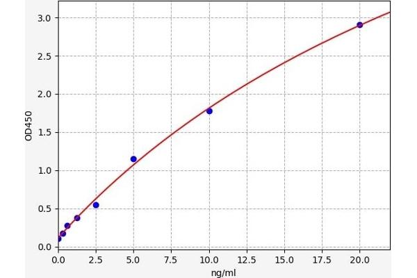 SEMA7A ELISA 试剂盒