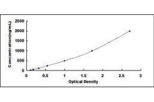 ELISA image for Haptoglobin (HP) ELISA Kit (ABIN6574216)