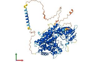 AlphaFold protein structure predicition of Human Recombinant TFR2 Protein, UniprotID Q9UP52