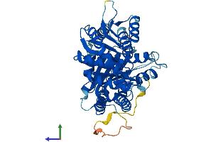 Protein Structure (PS) image for Tubulin, delta 1 (TUBD1) (AA 1-453) protein (His tag) (ABIN7544295)