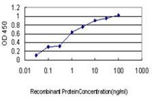 Detection limit for recombinant GST tagged TOMM34 is approximately 0. (TOMM34 抗体  (AA 1-309))