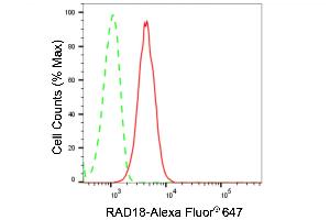 Flow cytometric analysis of RAD18 expression in H9c2 cells using RAD18 antibody (ABIN7798420), 1:2,000). (Recombinant RAD18 抗体)