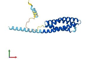 AlphaFold protein structure predicition of Human Recombinant TMEM17 Protein, UniprotID Q86X19