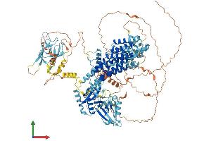 Protein Structure (PS) image for Ras Association and DIL Domains (Radil) (AA 1-1099) protein (His tag) (ABIN7564015)