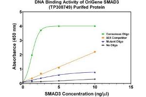 Activity Assay (AcA) image for SMAD, Mothers Against DPP Homolog 3 (SMAD3) (Transcript Variant 1) (Active) protein (Myc-DYKDDDDK Tag) (ABIN2732221)