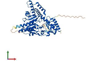 Protein Structure (PS) image for Selenocysteine Lyase (SCLY) (AA 1-432) protein (His tag) (ABIN7561675)