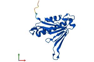 Protein Structure (PS) image for Chromosome 14 Open Reading Frame 126 (C14orf126) (AA 1-168) protein (His tag) (ABIN7547163)