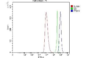 Flow Cytometry analysis of HEL cells using anti-Parathyroid Hormone Receptor 1/PTH1R antibody (ABIN7599639). (PTH1R 抗体  (AA 102-446))