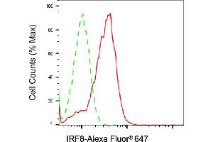 Flow cytometric analysis of IRF8 expression in Raji cells using IRF8 antibody (ABIN7799089), 1:2,000). (Recombinant IRF8 抗体)