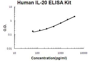 Human IL-20 Accusignal ELISA Kit Description Human IL-20 AccuSignal ELISA Kit standard curve. (IL-20 ELISA 试剂盒)
