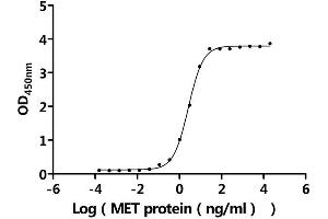 Measured by its binding ability in a functional ELISA.