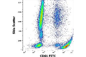 Flow cytometry surface staining pattern of human peripheral whole blood stained using anti-human CD61 (VIPL2) FITC antibody (4 μL reagent / 100 μL of peripheral whole blood). (Integrin beta 3 抗体  (FITC))