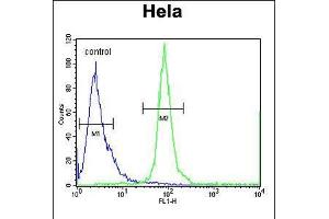 Flow cytometric analysis of Hela cells (right histogram) compared to a negative control cell (left histogram). (ESCO2 抗体  (AA 132-161))