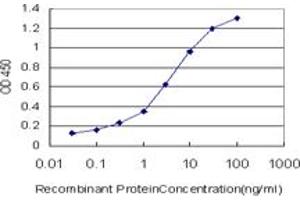 Detection limit for recombinant GST tagged MRRF is approximately 0. (MRRF 抗体  (AA 163-262))