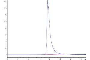 The purity of Mouse EPHA2 is greater than 95 % as determined by SEC-HPLC.