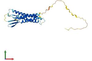 Protein Structure (PS) image for Claudin 14 (CLDN14) (AA 1-239) protein (His tag) (ABIN7556352)