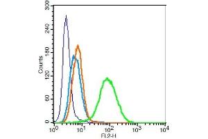 Human U937 cells probed with CD33 Polyclonal Antibody, Unconjugated  at 0. (CD33 抗体  (AA 261-364))