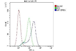 Flow Cytometry analysis of A549 cells using anti-MPI antibody (ABIN4886672).