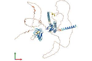 Protein Structure (PS) image for Ring Finger Protein 180 (RNF180) (AA 1-592) protein (His tag) (ABIN7557154)