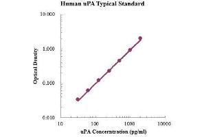 ELISA image for Plasminogen Activator, Urokinase (PLAU) ELISA Kit (ABIN3199235)