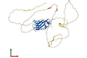 AlphaFold protein structure predicition of Human Recombinant RUNX3 Protein, UniprotID Q13761 (RUNX3 Protein (AA 1-415) (His tag))