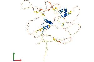 AlphaFold protein structure predicition of Mouse Recombinant Dmrt3 Protein, UniprotID Q80WT2