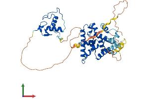 AlphaFold protein structure predicition of Human Recombinant NR2F2 Protein, UniprotID P24468
