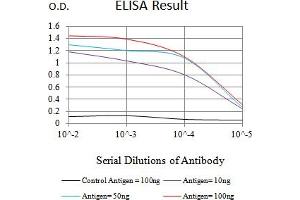 Black line: Control Antigen (100 ng),Purple line: Antigen (10 ng), Blue line: Antigen (50 ng), Red line:Antigen (100 ng) (FLI1 抗体  (AA 303-452))
