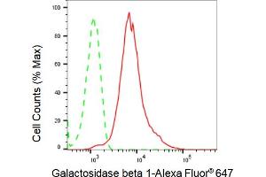 Flow cytometric analysis of Galactosidase beta 1 expression in HepG2 cells using Galactosidase beta 1 antibody (ABIN7798684), 1:2,000). (Recombinant GLB1 抗体)