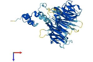 AlphaFold protein structure predicition of Human Recombinant FBXW12 Protein, UniprotID Q6X9E4
