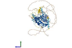 Protein Structure (PS) image for Ubiquitin Specific Peptidase 16 (USP16) (AA 1-823) protein (His tag) (ABIN7555947)