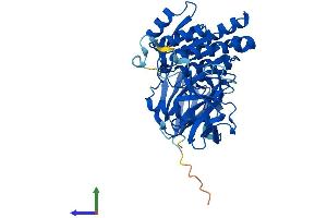 Protein Structure (PS) image for Cleavage and Polyadenylation Factor I Subunit 1 (CLP1) (AA 1-425) protein (His tag) (ABIN7553491)