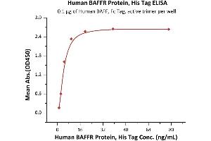 Immobilized Human BAFF, Fc Tag, active trimer (ABIN6972950) at 1 μg/mL (100 μL/well) can bind Human BAFFR Protein, His Tag (ABIN6972953) with a linear range of 1-10 ng/mL (QC tested).