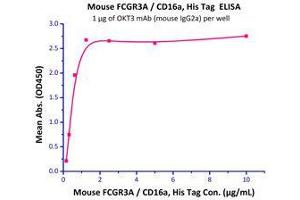 Binding Studies (Bind) image for Fc Fragment of IgG, Low Affinity IIIa, Receptor (CD16a) (FCGR3A) (AA 32-215) (Active) protein (His tag) (ABIN2870739)