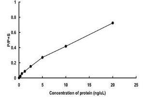 PAK4 Protein (AA 1-591) (GST tag)