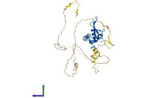 Protein Structure (PS) image for Forkhead Box I2 (FOXI2) (AA 1-311) protein (His tag) (ABIN7557034)