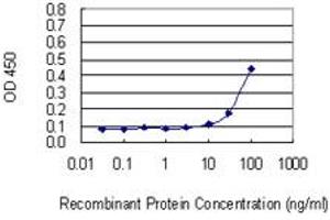 Detection limit for recombinant GST tagged RAPGEF3 is 10 ng/ml as a capture antibody. (RAPGEF3 抗体  (AA 772-881))