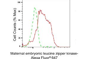 Flow cytometric analysis of Maternal embryonic leucine zipper kinase expression in HepG2 cells using Maternal embryonic leucine zipper kinase antibody (ABIN7799336), 1:2,000). (Recombinant MELK 抗体)