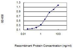 Detection limit for recombinant GST tagged BCAS4 is 0. (BCAS4 抗体  (AA 1-173))