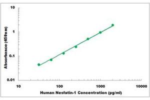 Representative Standard Curve (NUCB2 ELISA 试剂盒)