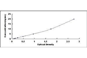 Typical standard curve (FCGR3B ELISA 试剂盒)
