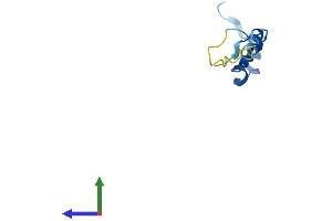 Protein Structure (PS) image for Anaphase Promoting Complex Subunit 13 (ANAPC13) (AA 1-74) protein (Fc Tag) (ABIN7559614)