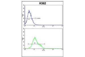 Flow Cytometry (FACS) image for anti-CASP8 and FADD-Like Apoptosis Regulator (CFLAR) (AA 152-182), (Middle Region) antibody (ABIN951489)