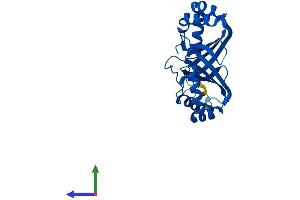 Protein Structure (PS) image for Nipsnap Homolog 3A (NIPSNAP3A) (AA 1-247) protein (His tag) (ABIN7549774)