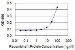 Detection limit for recombinant GST tagged IVNS1ABP is 3 ng/ml as a capture antibody. (IVNS1ABP 抗体  (AA 1-100))