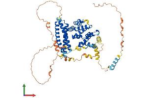 AlphaFold protein structure predicition of Human Recombinant TOM1 Protein, UniprotID O60784