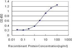 Detection limit for recombinant GST tagged CHST3 is approximately 0. (CHST3 抗体  (AA 312-411))